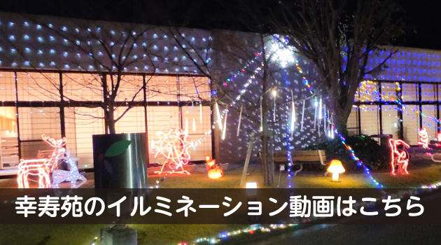 イルミネーション動画